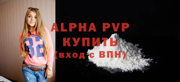 дживик Пересвет