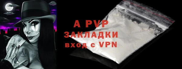 дживик Пересвет