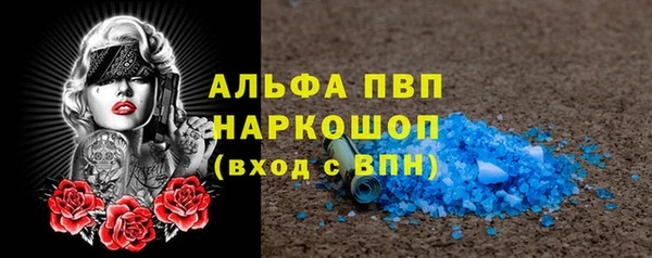 хмурый Пестово