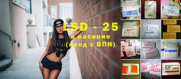 дживик Пересвет